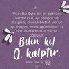 vefa588