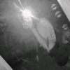 jhosselyn_2011