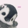 penquin.edits
