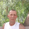 fane.codaiescu