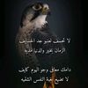 user244577042953