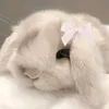 urbbitvibe