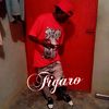 osnerfigaro