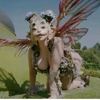 faerie_soire3