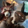 _foresty.furs_