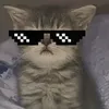 zaul_leo