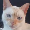 claudiavargas420