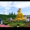 vthylee201