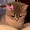 lila.magar792