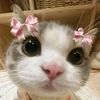 aufa_130313