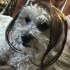 poopyourownpants22