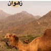 razan229977