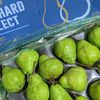 Toko Family Buah - Sambongsari