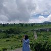 ntlia_prmtsri