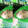 princschan