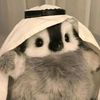 user12335431305