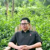 hong.phong.land