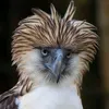 bert_2025_