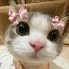 ara_piw5