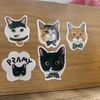 hhmshop_257