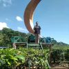 iman.sahputra5