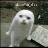 mxymxy665