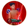 user4198816725579