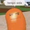 vagna_hole