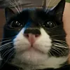 yourverynormalhumanbeing