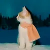 pusang_gala077