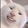 wdg.30