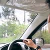 lanang_468