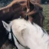 7rg779