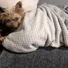bobby74403