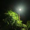 nurulafifahkasim_