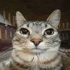 cat.9ia9
