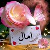 amelchaib287