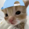 aikafineshyt