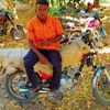 user5733305413996
