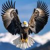 43cas58hen