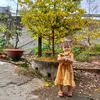 nhtnguyn2646