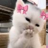 cerry_bl_lover