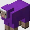 just_pupel_sheep