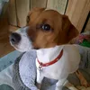 billyvandenburie