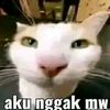 maryxz38