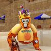 orange_king141
