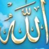 user99373352861432