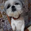 hotelpetsoudecasa