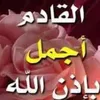 user5855124928235