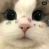 notyourmichi7